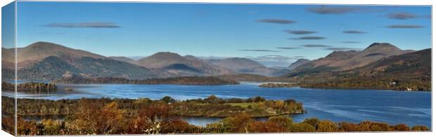 Ben Lomond from summit of Inchcailloch  Canvas Print by yvonne & paul carroll