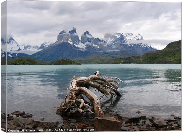 Torres del Paine Canvas Print by yvonne & paul carroll