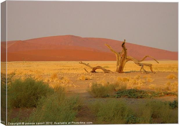 Sossusvlei sand dunes, Namibia Canvas Print by yvonne & paul carroll