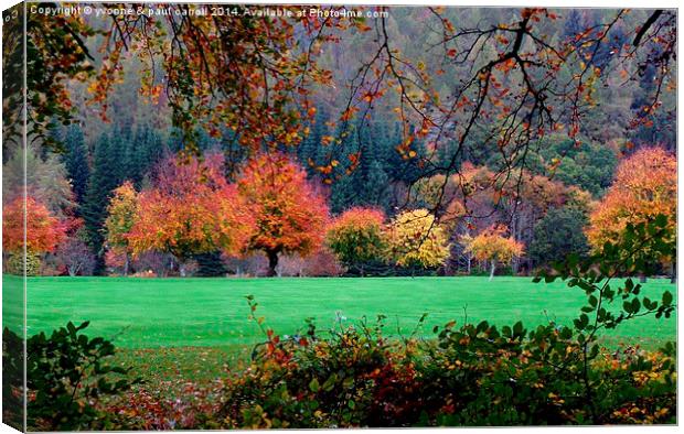  Autumn in Kenmore  Canvas Print by yvonne & paul carroll