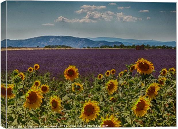 Lavender & Sunflowers, Provence Canvas Print by yvonne & paul carroll