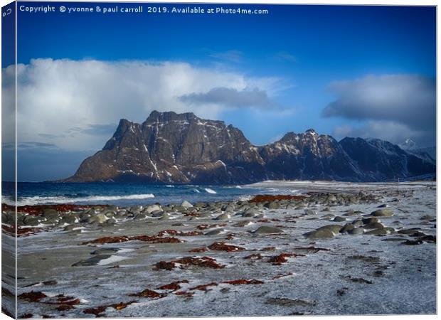 Lofoten winters - jagged cliffs, snow on the beach Canvas Print by yvonne & paul carroll