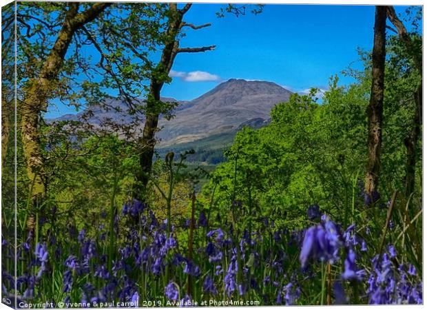 Ben Lomond through the bluebells on Inchcailloch Canvas Print by yvonne & paul carroll