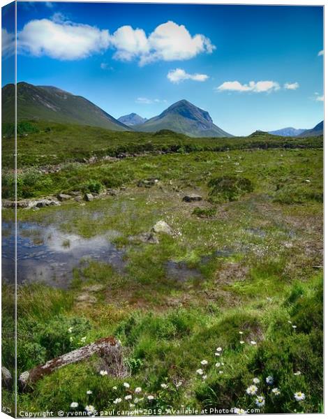 The Cuillins, Isle of Skye from Sligachan Canvas Print by yvonne & paul carroll