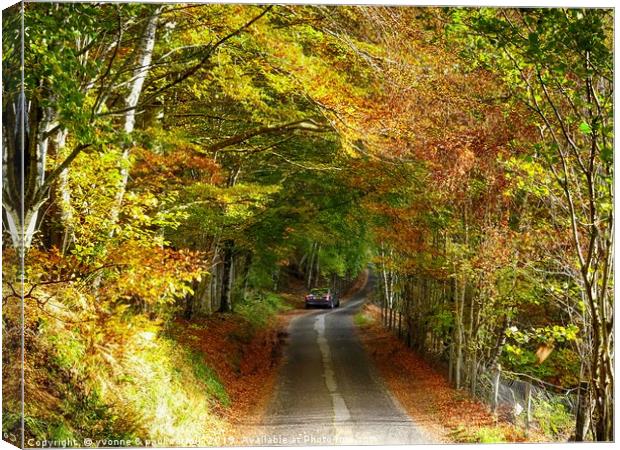 Driving through Glen Lyon, Perthshire, in Autumn Canvas Print by yvonne & paul carroll