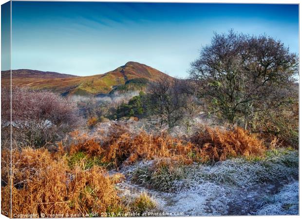 Winter on Inchcailloch, Loch Lomond - Conic Hill Canvas Print by yvonne & paul carroll
