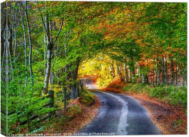 Glen Lyon in Autumn Canvas Print by yvonne & paul carroll