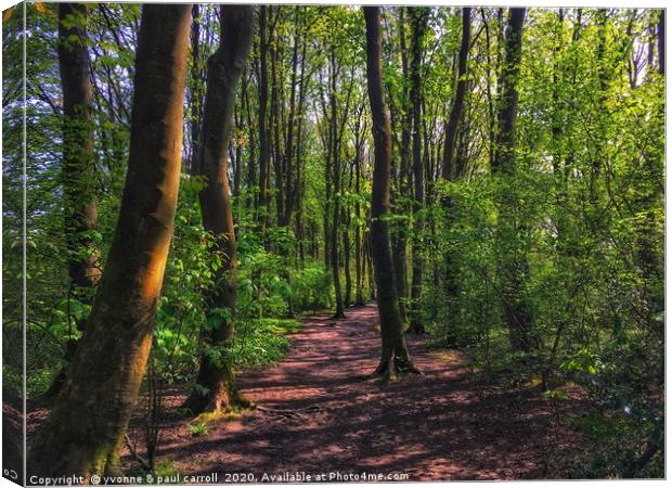 Cairnhill Woods Canvas Print by yvonne & paul carroll