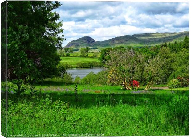 Looking over Carbeth Loch to the Campsies and Dumg Canvas Print by yvonne & paul carroll