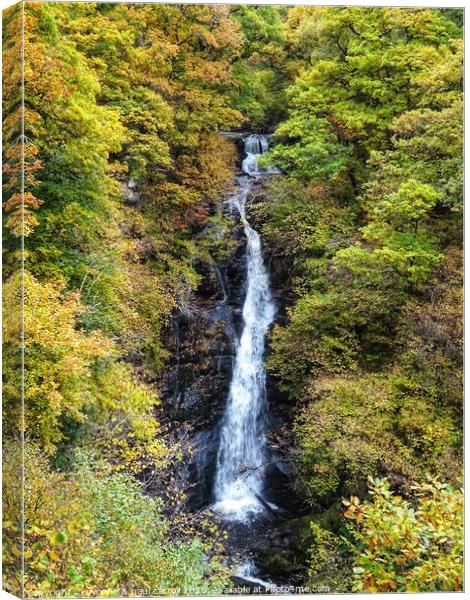 Black Spout Waterfall, Pitlochry Canvas Print by yvonne & paul carroll