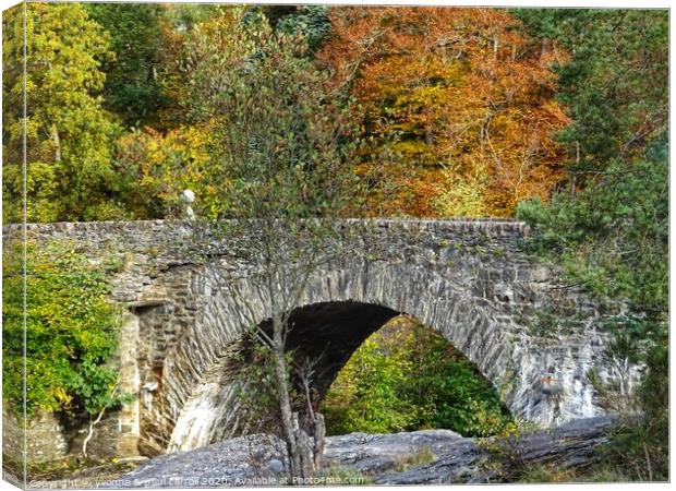 Killin in Autumn Canvas Print by yvonne & paul carroll