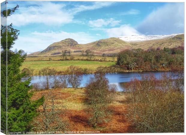 Carbeth Loch Canvas Print by yvonne & paul carroll