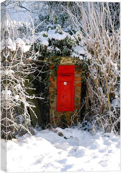 post box in the snow Canvas Print by Lynne Easton