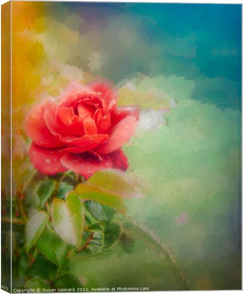 Rose  Canvas Print by Susan Leonard