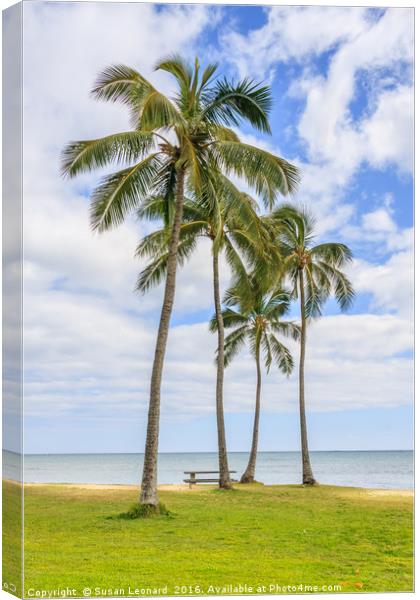 Palm Trees by the Pacific Canvas Print by Susan Leonard