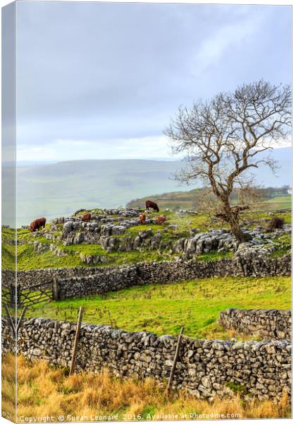 Yorkshire Dales Canvas Print by Susan Leonard