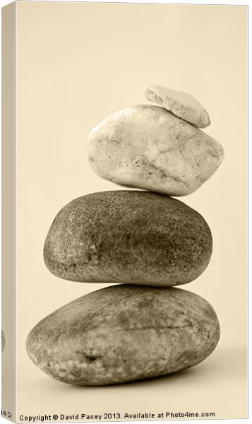 Stones Canvas Print by David Pacey