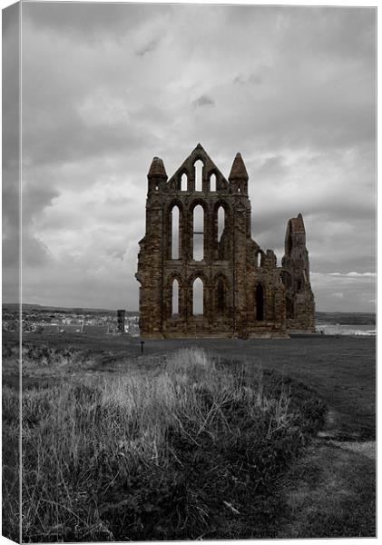 Whitby Abbey Canvas Print by David Pacey