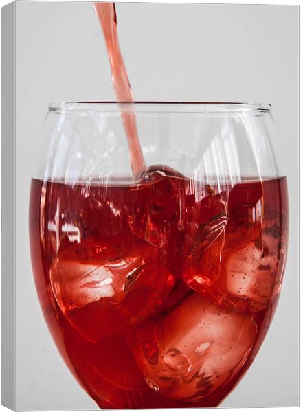 RED RED WINE Canvas Print by David Pacey
