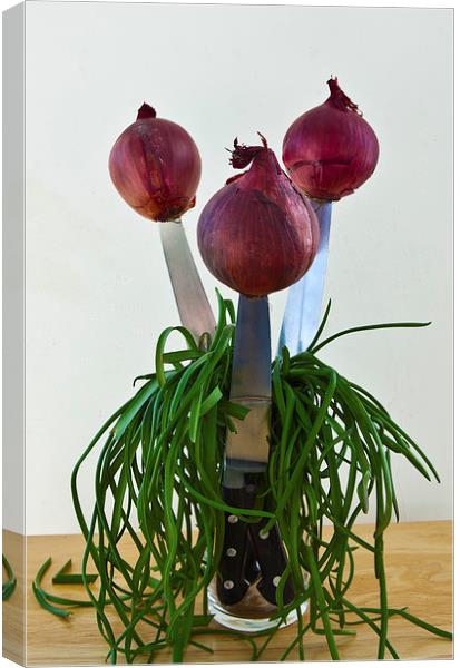 RED ONIONS Canvas Print by David Pacey