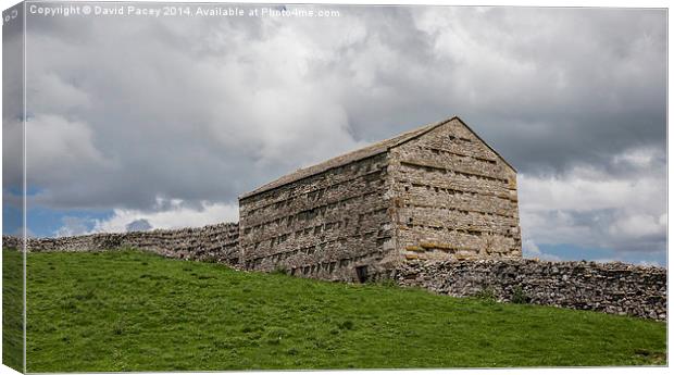 Farm Building Canvas Print by David Pacey