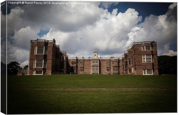 Temple newsam house Canvas Print by David Pacey