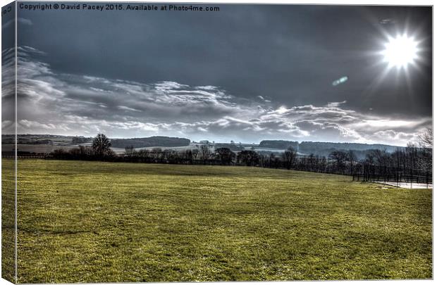 Harewood Canvas Print by David Pacey