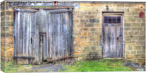  Old Barn Doors Canvas Print by David Pacey