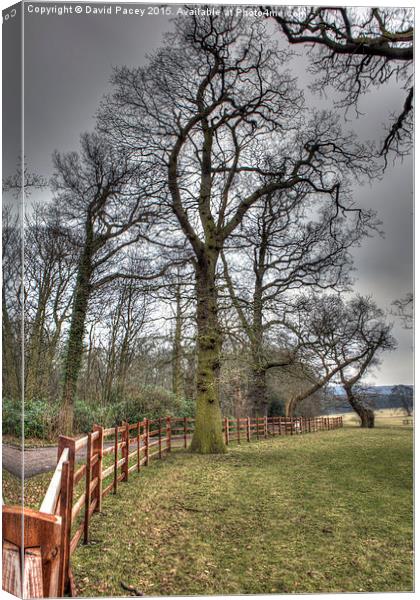  Harewood Grounds Canvas Print by David Pacey