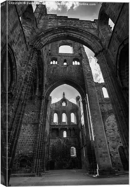  Kirkstall Abbey Canvas Print by David Pacey