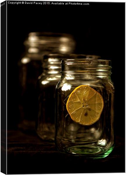  Lemon in Jar Canvas Print by David Pacey