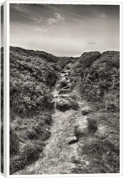   Ilkley Moor  Canvas Print by David Pacey