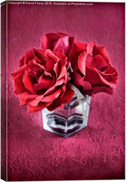  ROSE 2 Canvas Print by David Pacey