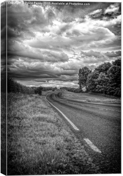  Road To  Canvas Print by David Pacey