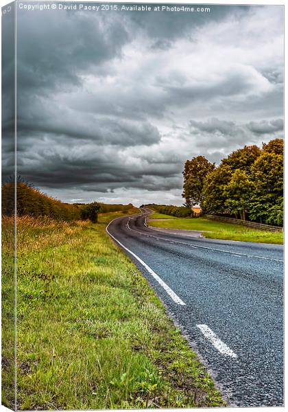  The Road To Canvas Print by David Pacey