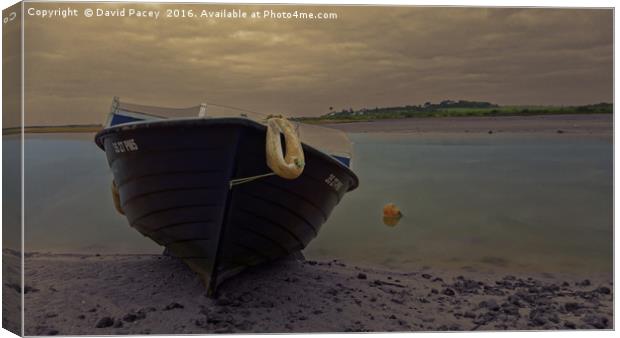 The Boat Canvas Print by David Pacey