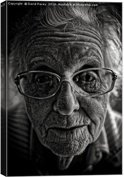 Age is just a number Canvas Print by David Pacey