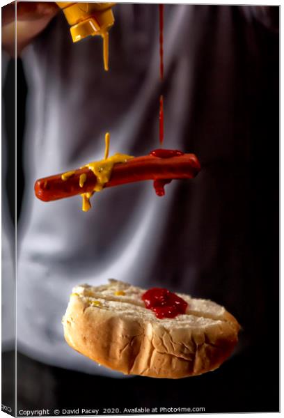 Hot Dog Canvas Print by David Pacey