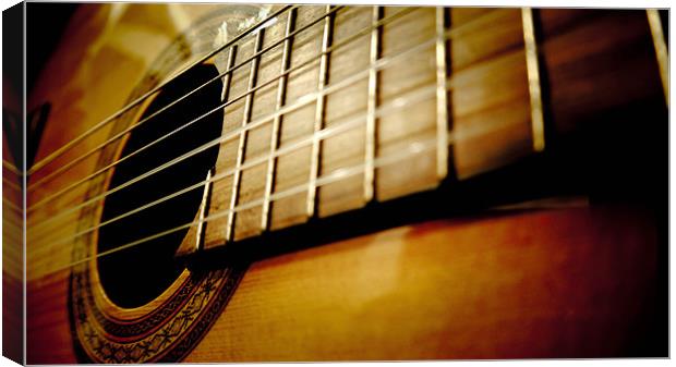 My Guitar Canvas Print by Tom Reed