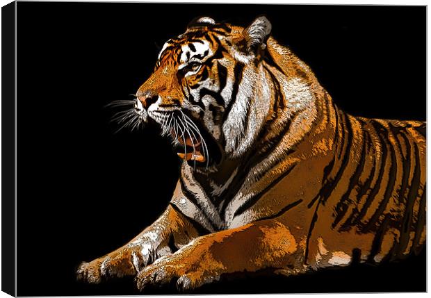 Posterised Tiger Canvas Print by Tom Reed