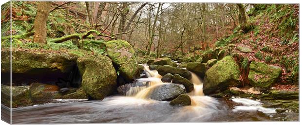 Padley Gorge Panorama Canvas Print by Tom Reed