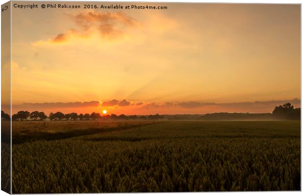 Sunrise on a stunning morning Canvas Print by Phil Robinson