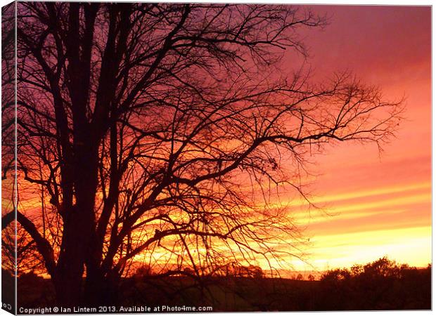 Somerset Sunset Canvas Print by Ian Lintern