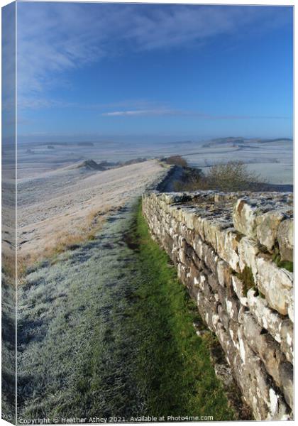 Frost on Hadrian's Wall Canvas Print by Heather Athey
