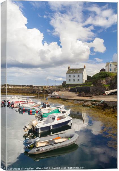 St Abbs, Scotland Canvas Print by Heather Athey