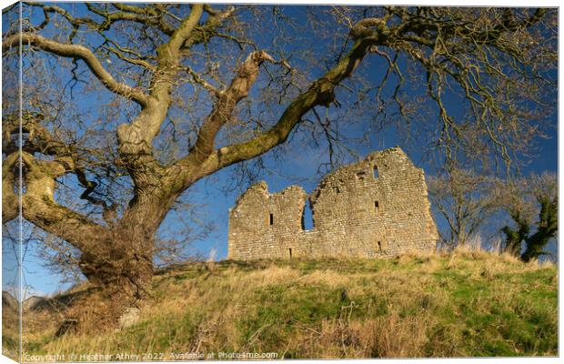 Thirlwall castle in Northumberland Canvas Print by Heather Athey