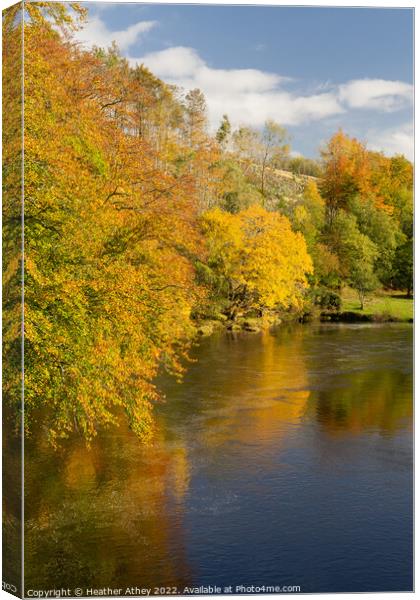 River South Tyne in autumn Canvas Print by Heather Athey