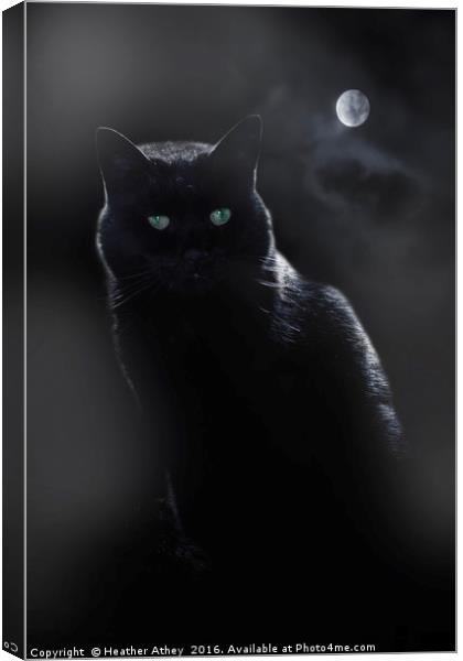 Black Cat in Moonlight Canvas Print by Heather Athey