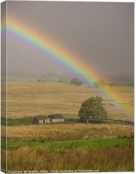 Rural rainbow Canvas Print by Heather Athey