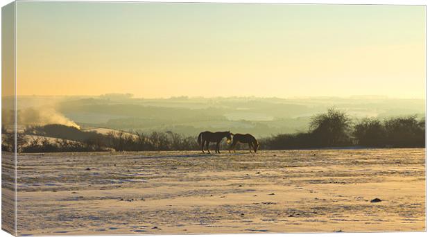 Cotswold Snowy Sunset Canvas Print by Oliver Walton